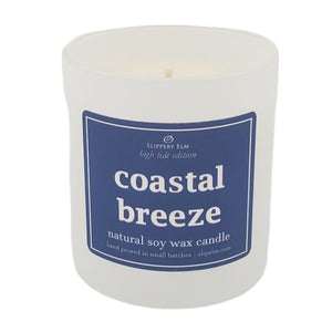 Coastal Breeze 9oz Boardwalk Series Candle